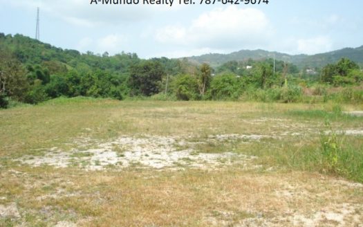 2.362 Cuerdas Barrio Lomas Canóvanas