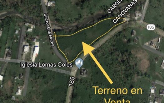 2.362 Cuerdas Barrio Lomas Canóvanas
